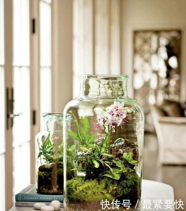 任何容器都能用来做花盆,请收好这30种美丽的花盆搭配设计