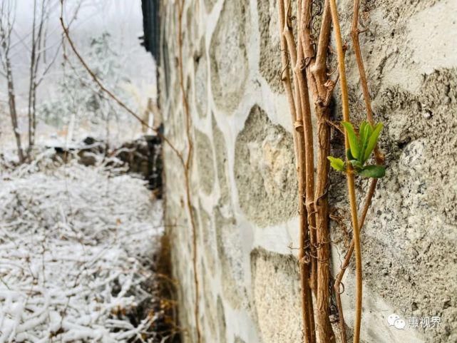 春花春雪春雨绝美春色，这样的易县，你见过吗？春分限定，速度