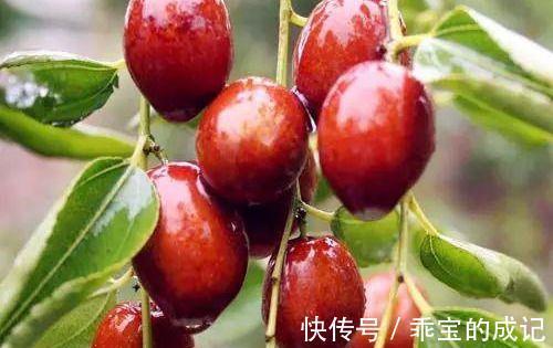 酸枣|超市常有的3种食物,排毒养颜,延缓衰老,早吃早健康!