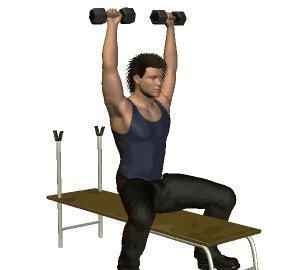 肌群|不去健身房,怎么练出一身肌肉附一周4练健身动图