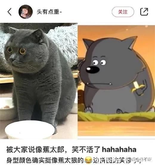 |搞笑：可以的，你供它上完大学就可以了