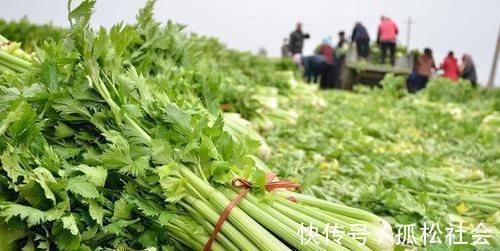 油炸食物|糖尿病的“祸根”发现了，别总是冤枉甜食，3物再馋也要管住嘴