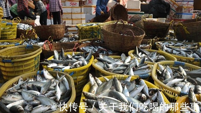 哪些鱼适合冬天吃？聪明人选这4种，肉肥味鲜营养高，价格还便宜