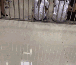 |搞笑GIF:太坏了 这是人干的事儿吗?