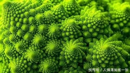 神“造”般的植物奇景，仿佛画作精品，小编已深深着迷！