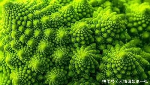 神“造”般的植物奇景,仿佛画作精品,小编已深深着迷!