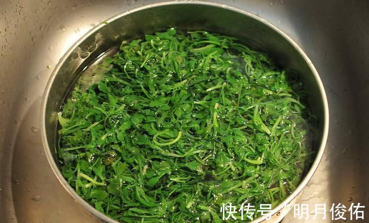 散散心|保存荠菜，教您好方法，一次囤10斤，放1年不坏，想吃随时有