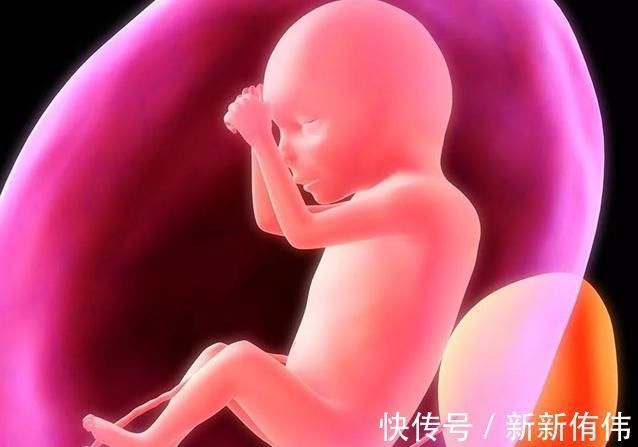 子宫|孕检B超四维时胎儿害羞不动,孕妈别着急,8个技巧让孩子活跃配合你