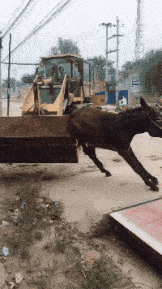 |搞笑GIF段子:妹子是有,不知道你力气够不够?