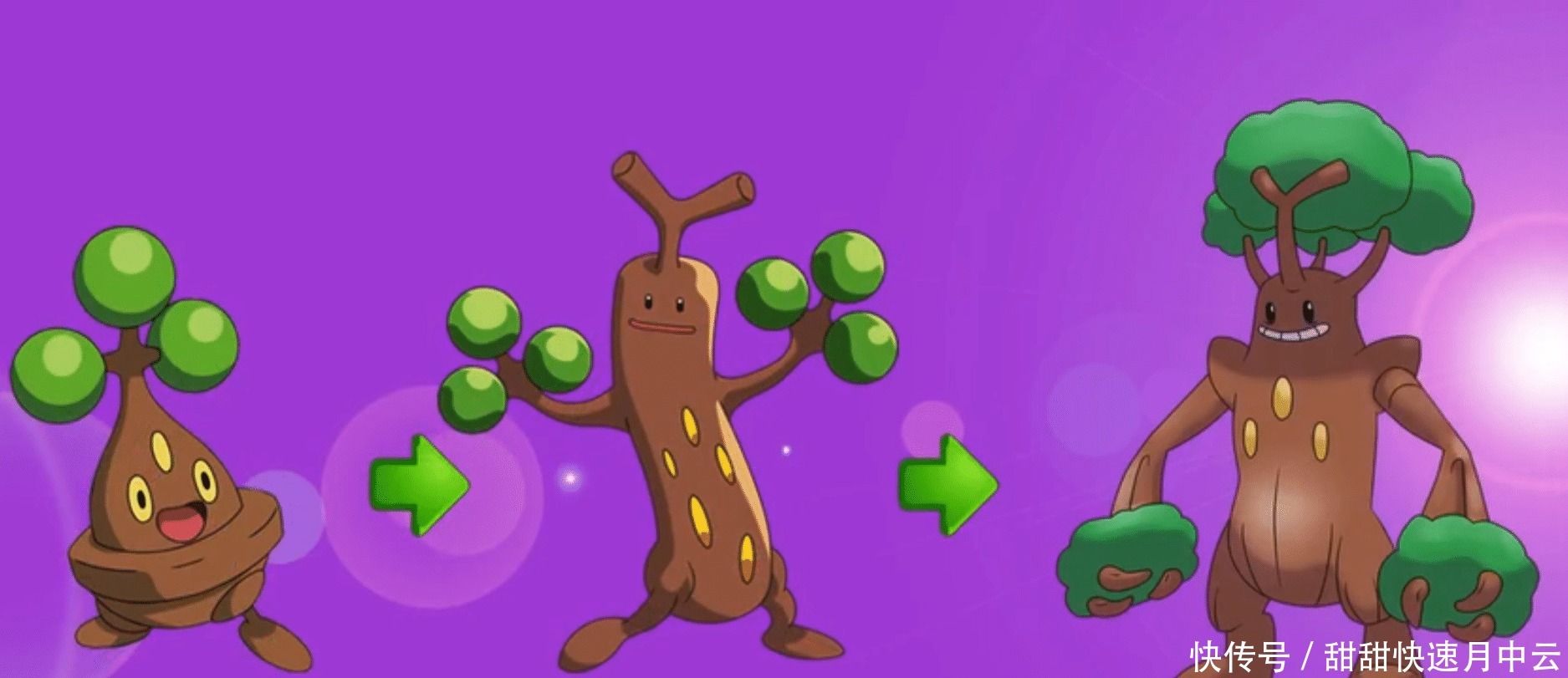 电击魔兽可以mega进化吗