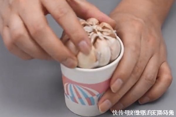 一次性纸杯里放一颗大蒜,摆在阳台作用太棒了,邻居见了纷纷学