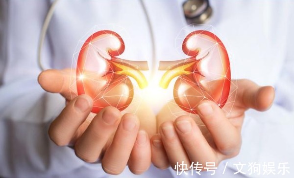 高尿酸|高血压合并高尿酸,选药更要谨慎,从降压降尿酸两方面为你总结