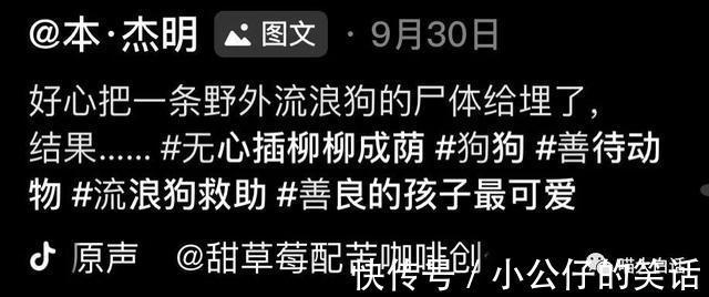 视频号|“现在人网购的审美有多奇葩？？”哈哈哈哈哈真的离了个大谱