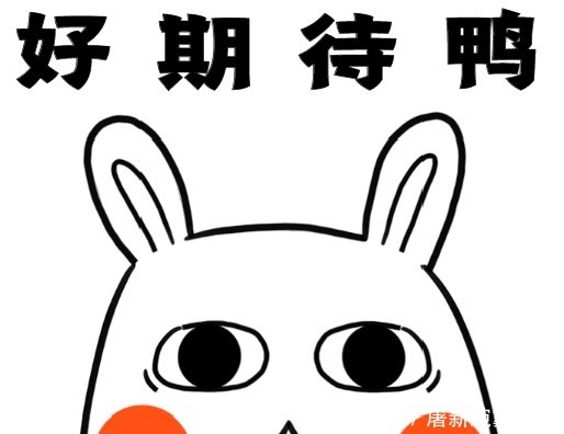 徐健淇新歌《苦水玫瑰》单曲发行啦!