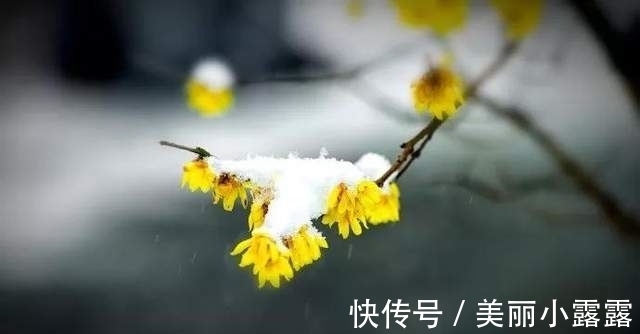 浪漫的事$十二月:以诗赠友,与君共勉