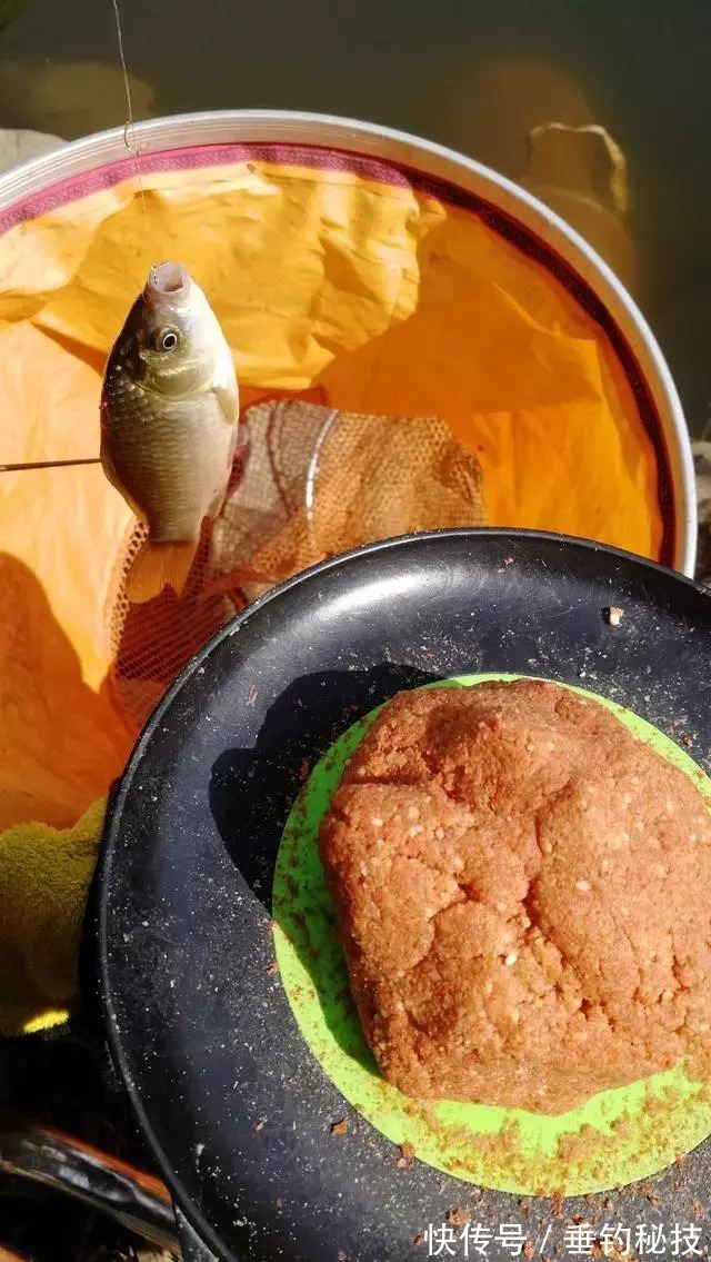 垂钓|垂钓过程中,浮漂出现送漂老是打不到鱼口,问题可能出在这