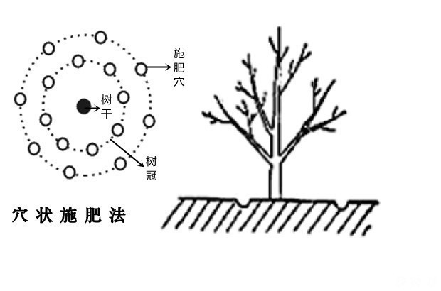 树木施肥的方法有哪几种 树木施肥的方法有哪几种