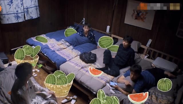 向往5|《向往5》张艺兴与杨紫互动太搞笑，辟谣绯闻太独特，黄磊撮合二人！