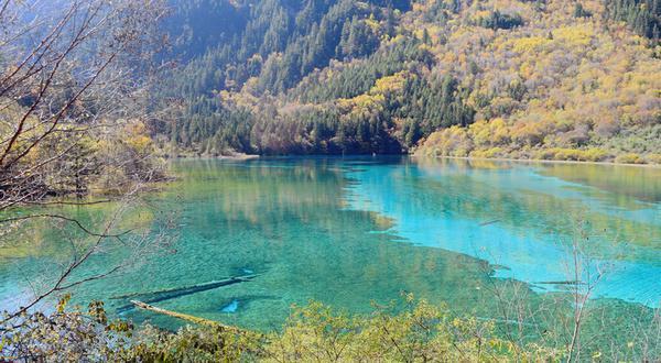 重新开放的九寨沟,还会是归来不看水,色即是秋,秋即是色吗