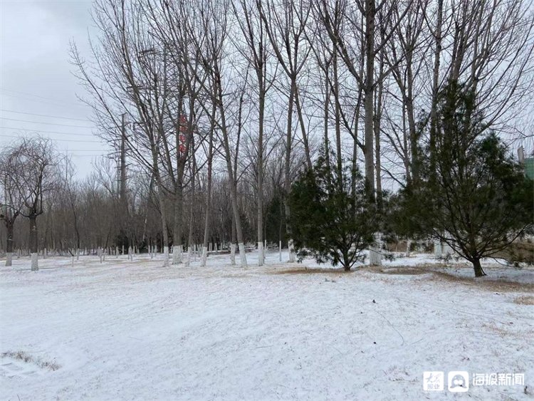 孙永莲|一场雪让潍坊美成了这样