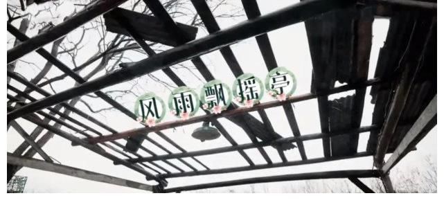 张艺兴|张艺兴太像小朋友了!写歌灵感来自动画片,模仿彭昱畅打呼太搞笑