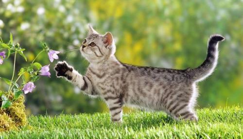 |幽默笑话:上大学的时候认识了现在的女朋友,没几天就在一起了