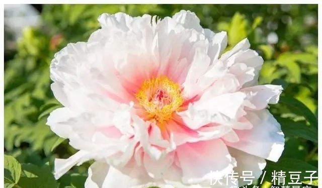 桃花运|未来7天桃花运撮合，百年姻缘从天降，福气足的4生肖