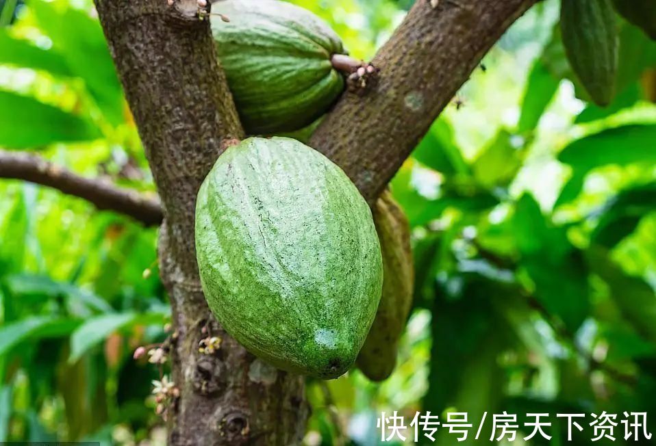 繁华|在凤鸣里，藏着你向往已久的旅居生活