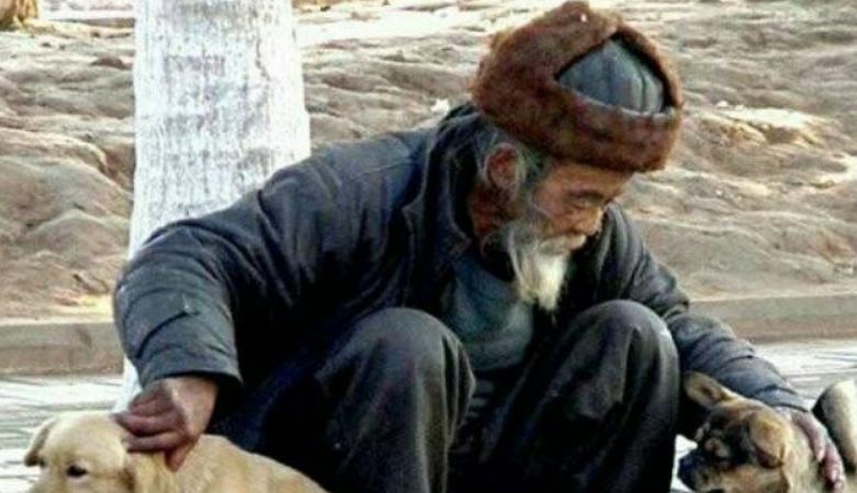 三国演义中#老祖宗的忠告:“喂狗别喂饱”是什么意思?其实后半句才是重点