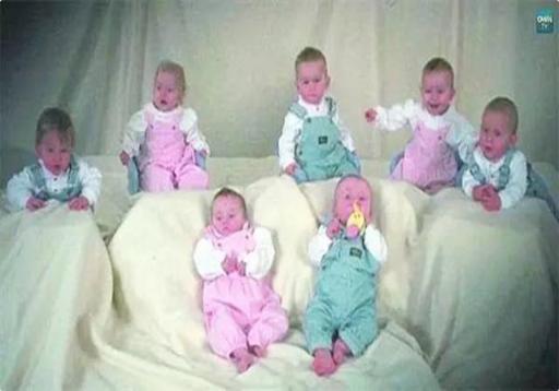 胞胎|23年前“七胞胎家庭”,养娃不堪重负,现状令人欣慰