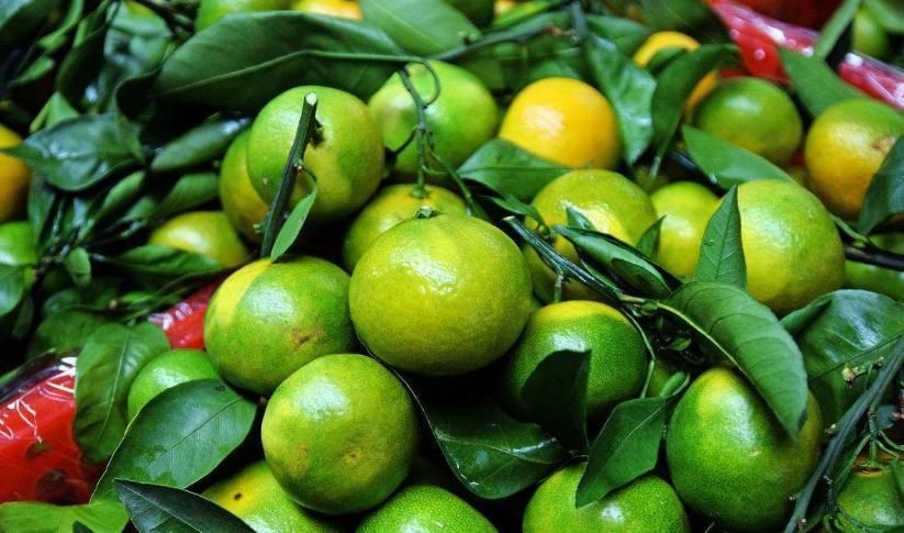 橘脐|买橘子,“公母”要分清,要挑母的,记住4点,保证个个香甜多汁