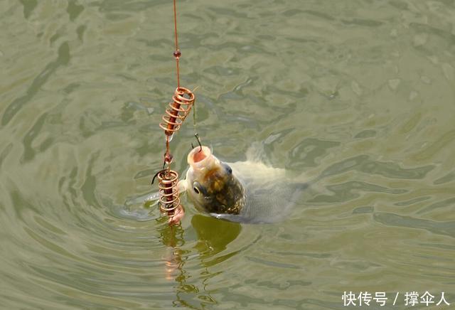 钓具|冬季垂钓的核心技巧,无外乎饵料·钓法和钓具这三方面---皇禾钓具