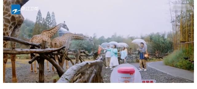 《青春環(huán)游記3》口碑?dāng)嘌孪碌敖鹬鬟^多”是原罪？