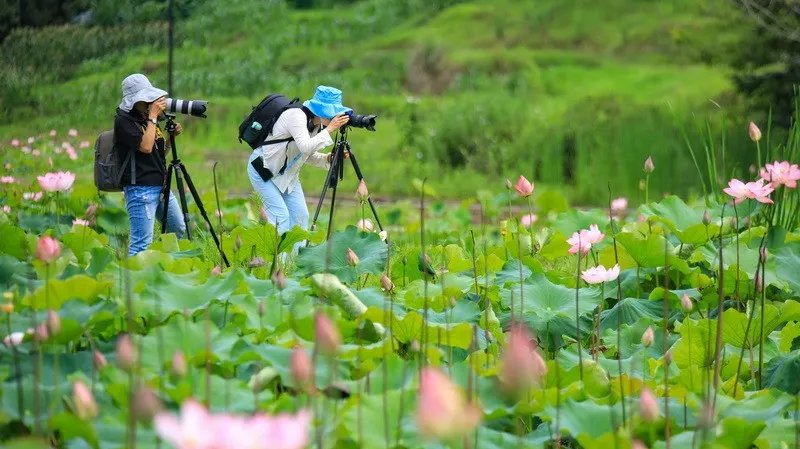 红军村|炎炎夏日何以消暑？天全这几个避暑胜地等你来打卡！