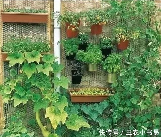 露台|农村别墅露台设计成啥样好 63款漂亮露台美上天了