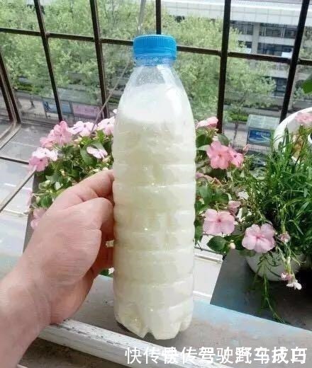 啤酒水|别用淘米水浇花了,此2种水,比淘米水强1倍,啥花都能用!