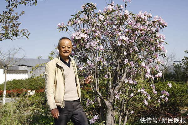 吴嘉|我·青吴嘉｜潘菊明：乡村振兴路“花”样追梦人