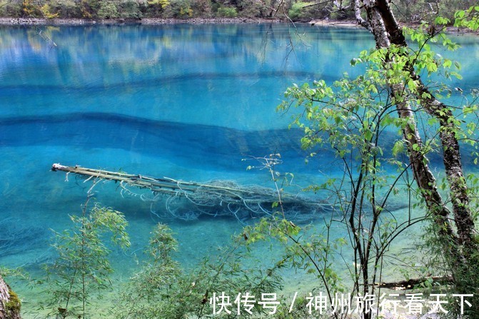 旅游|去四川旅游，就找四川评价好的本地纯玩私人靠谱导游，了解四川最佳旅游线路和旅游景点