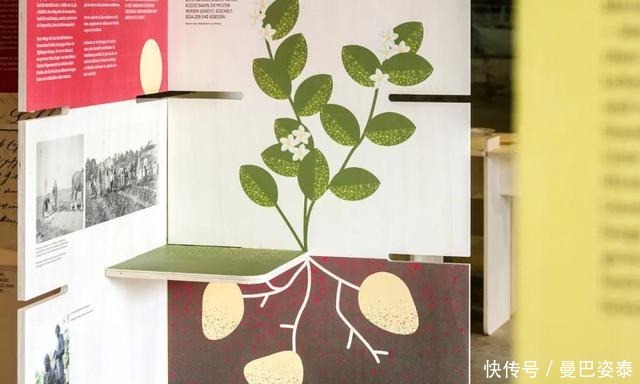 宾德奖|2020奥地利约瑟夫·宾德奖获奖作品出炉