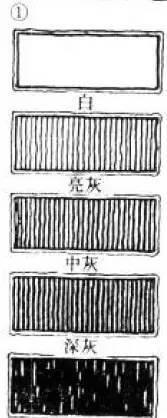 方法|画画必看的排线方法和技巧!
