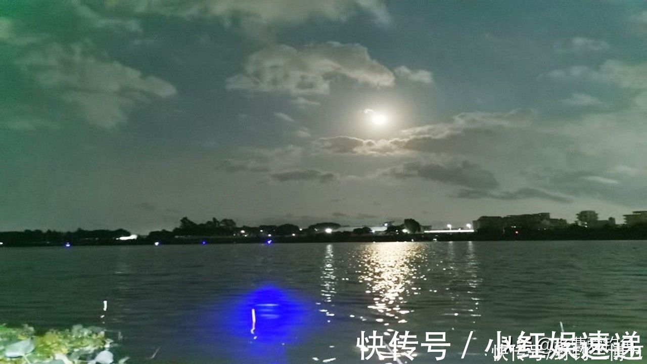 钓鱼|3段亲身经历,提醒钓友们,不要一人独自夜钓