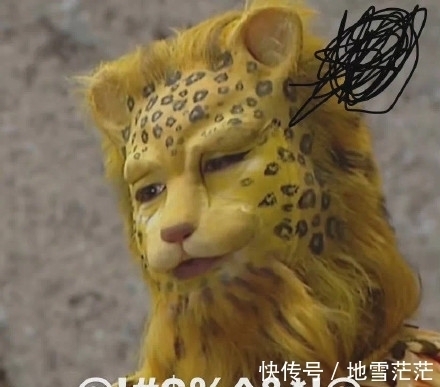 最近的朋友圈,跑进来一只豹子