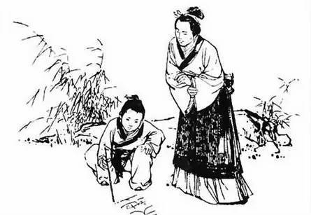 治病|车前子,百姓的治病良药!7大顶级妙用,极少人知道!全家都受益