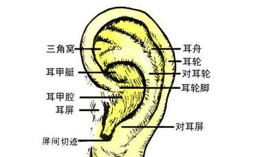  换季|人逢换季三分虚，五脏进补正当时！教你一套穴位调补法！