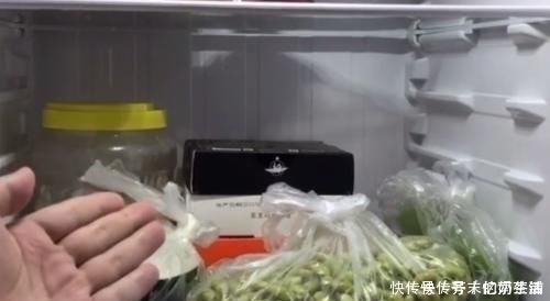 冰箱脏了别只用水擦，家政阿姨教我绝招，冰箱干净无异味，太棒了
