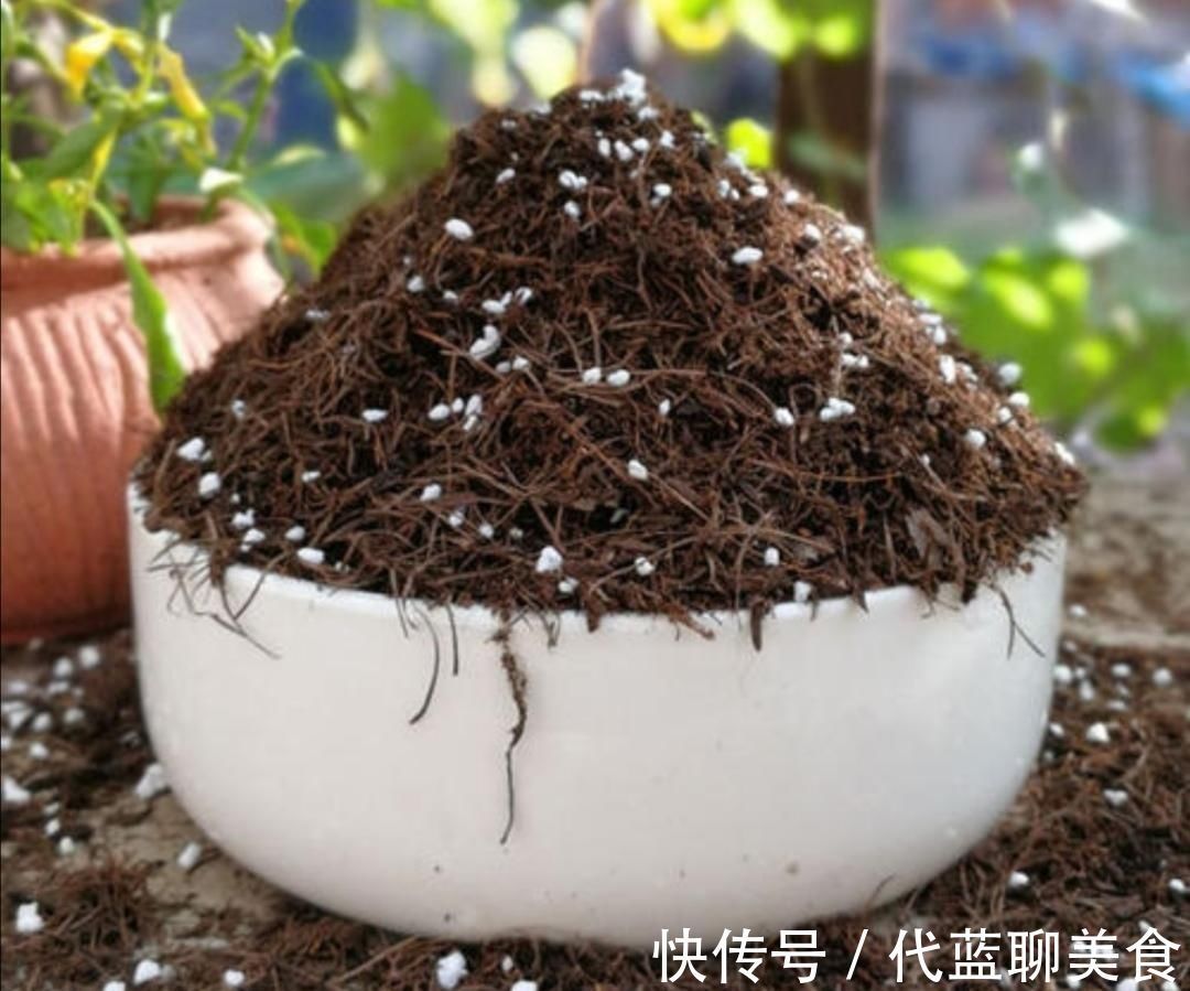 家中养花,盆土容易结板,掺入4种“材料”,松软透气养分丰富