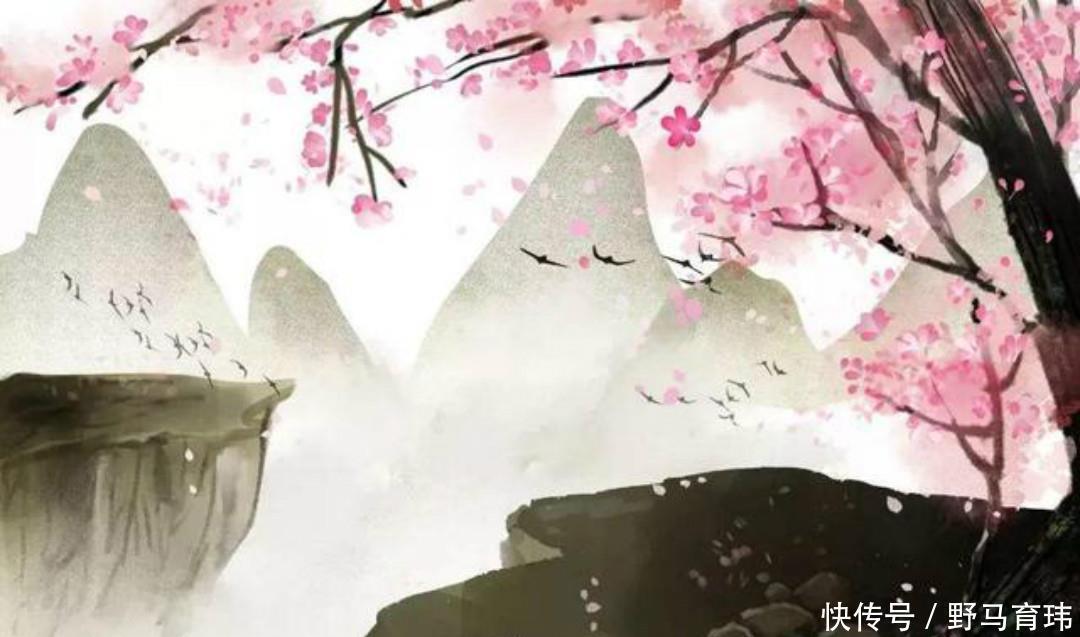 春晓|晚年元稹回想初恋崔莺莺,写下的这首《春晓》,感动了无数的读者