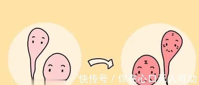 怀男宝|怀男宝和怀女宝有区别吗二胎妈妈这两点明显不同,很好分辨