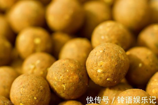 这些事|三番五次提醒你,打完窝后别做这些事,否则鱼获可能会减半