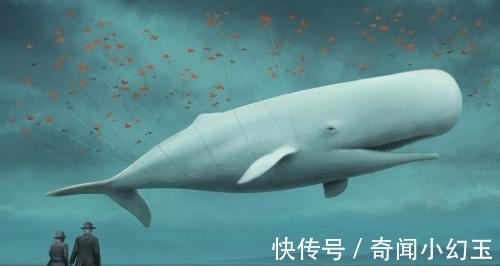 知识|9条奇葩冷知识，最后一条你知道54张扑克牌分别代表着什么吗？